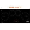 Bếp Từ Giovani G-490TS 2 bep tu giovani g 490 ts