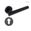 Tay nắm gạt có nắp che TW Hafele 905.99.541 2 Tay nắm gạt có nắp che TW Hafele 905.99.541