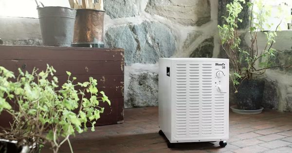 Máy hút ẩm Wood’s SW22FW 14 Ảnh thực tế máy hút ẩm Wood’s SW22FW