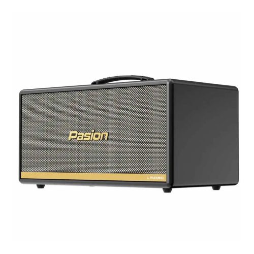 Loa Di Động Xách Tay Paramax PASION 2c (Màu Xám) 6 Ảnh Loa Di Động Xách Tay Paramax PASION 2c (Màu Xám)