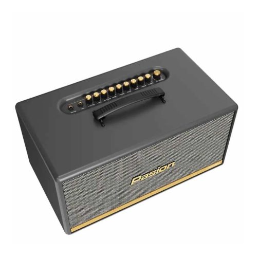 Loa Di Động Xách Tay Paramax PASION 2c (Màu Xám) 7 Hình ảnh Loa Di Động Xách Tay Paramax PASION 2c (Màu Xám)