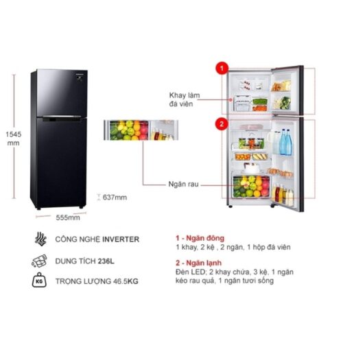 Tủ Lạnh 2 cánh Inverter 236 Lít Samsung TMF-RT22M4032BU 9 Kích thước tủ Lạnh 2 cánh Inverter 236 Lít Samsung TMF-RT22M4032BU