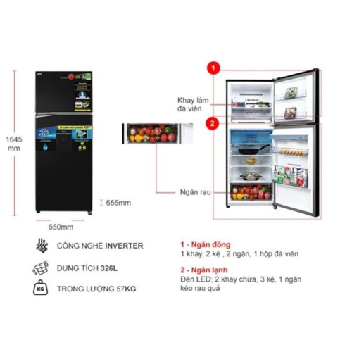 Tủ Lạnh 2 cánh Inverter 326 Lít Panasonic NR-TL351GPKV 9 Kích thước tủ Lạnh 2 cánh Inverter 326 Lít Panasonic NR-TL351GPKV