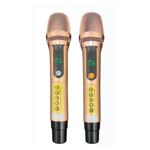 Micro Loa Xách Tay Bossinon N3379K