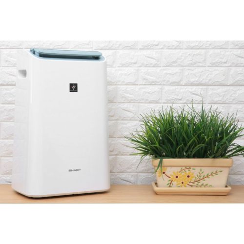 Máy lọc không khí và hút ẩm Sharp DW-E16FA-W 7 Ảnh máy lọc không khí và hút ẩm Sharp DW-E16FA-W