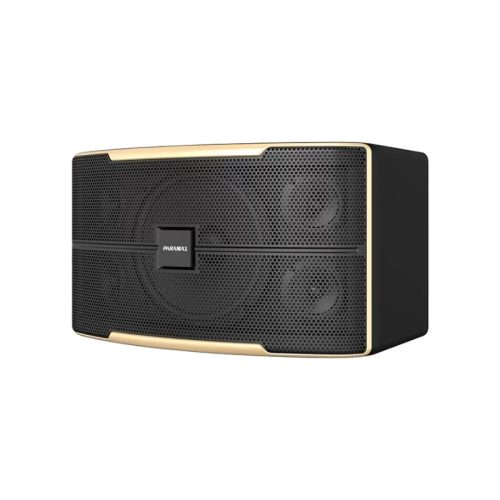 Loa Karaoke 10 Inches Paramax Z-1500 5 Ảnh loa Karaoke 10 Inches Paramax Z-1500
