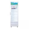 Tủ mát Sanaky 170 lít VH218KL 2 Tủ mát Sanaky 170 lít VH218KL