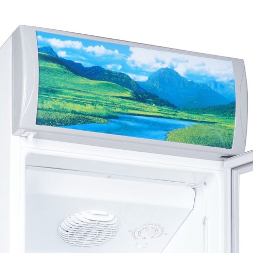 Tủ mát Sanaky VH258KL 8 Ảnh Tủ mát Sanaky VH258KL
