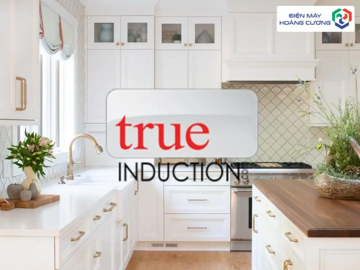 Đánh Giá Bếp Từ True Induction: "Vua" Bếp Từ Đôi Di Động Của Mỹ & Top 3 Mẫu Đáng Mua 2 Xuất xứ thương hiệu Bếp Từ True Induction
