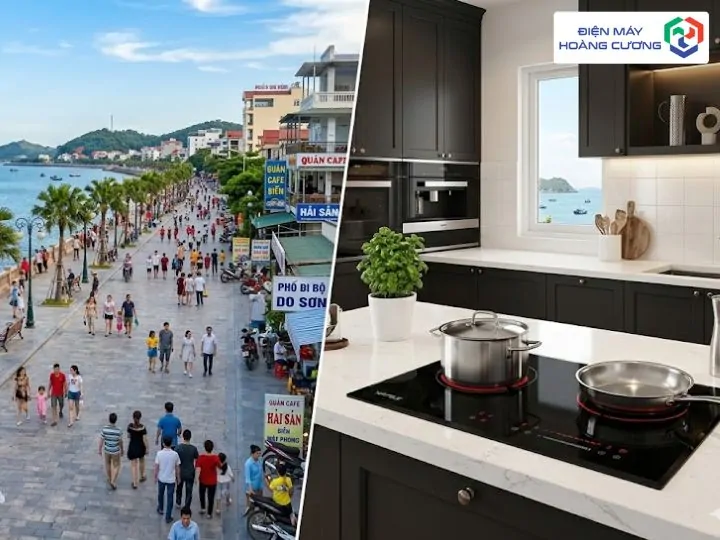 10+ địa chỉ mua bếp từ Hafele uy tín tại Hải Phòng- Kinh nghiệm từ dân Đất Cảng 1 Bếp từ Hafele sang trọng