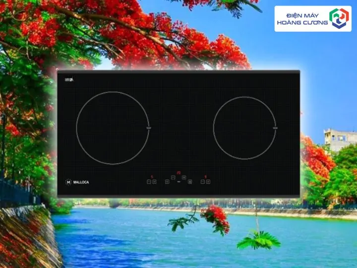 13+ Địa Chỉ Mua Bếp Từ Malloca Uy Tín Tại Hải Phòng, 7 Lựa Chọn Thông Minh, Tiết Kiệm Điện Cho Gia Đình 1 Địa Chỉ Mua Bếp Từ Malloca Uy Tín Tại Hải Phòng